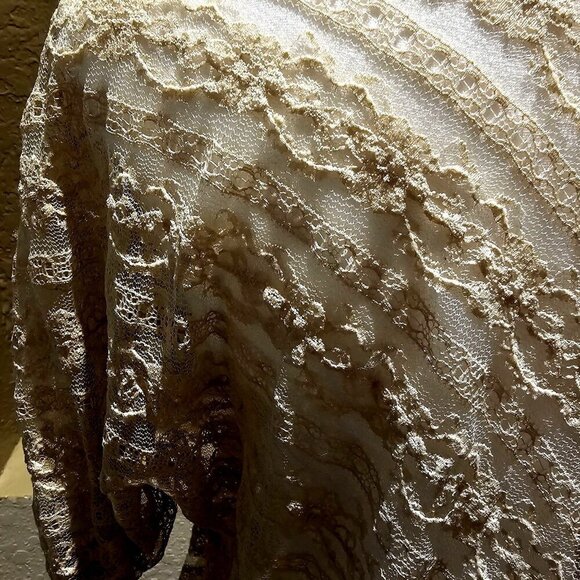 Full Tilt L Lace Champagne Top Feminine Whimsy Vintage Fairy Sheer Romantic Boho - Picture 8 of 11